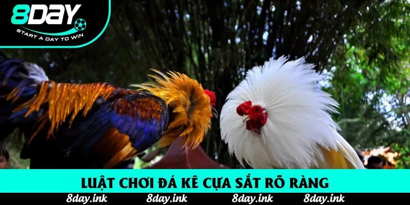 Luật chơi đá kê cựa sắt rõ ràng