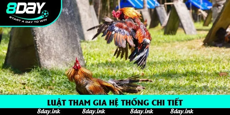Luật tham gia hệ thống chi tiết